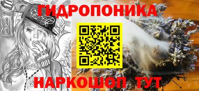apvp Обнинск